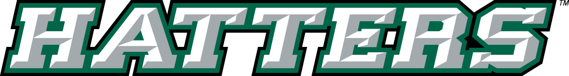 Stetson Hatters 2008-2017 Wordmark Logo v2 iron on transfers for T-shirts
